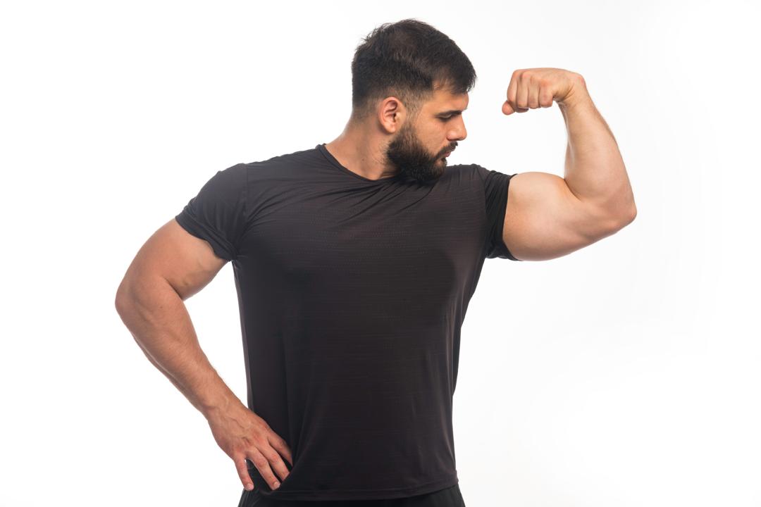 حافظه عضله